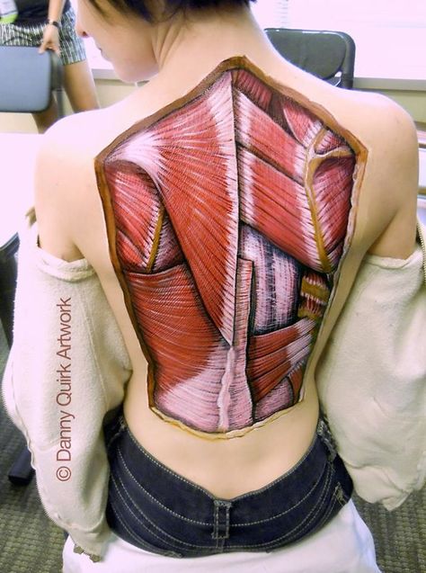 Realistic Anatomical Paintings Reveal The Structures That Lie Beneath Our Skin | Bored Panda Danny Quirk, Muscle Anatomy, Medical Anatomy, Therapeutic Massage, Muscle Body, Body Anatomy, Anatomy Drawing, Anatomy And Physiology, Human Anatomy