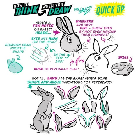 The Etherington Brothers on Instagram: “I'm reprinting BOTH my 200 PAGE drawing tutorials BOOKS, which will ONLY be available in the HIGHER tiers of Robin's WRITING book…” Etherington Brothers, How To Draw Ears, Rabbit Drawing, Bunny Drawing, Bunny Art, Anatomy Reference, Animal Sketches, Rabbit Ears, Bunny Ears