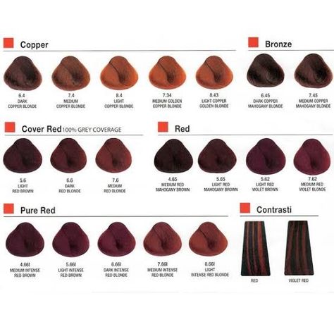 Hair Color For Gray Hair, Color For Gray Hair, Hair Inspo Bangs, Hair Colours Ideas, Burgundy Brown Hair, Hair Color Names, Pixie Hair Color, Brown Hair Color Chart, Hair Color Swatches