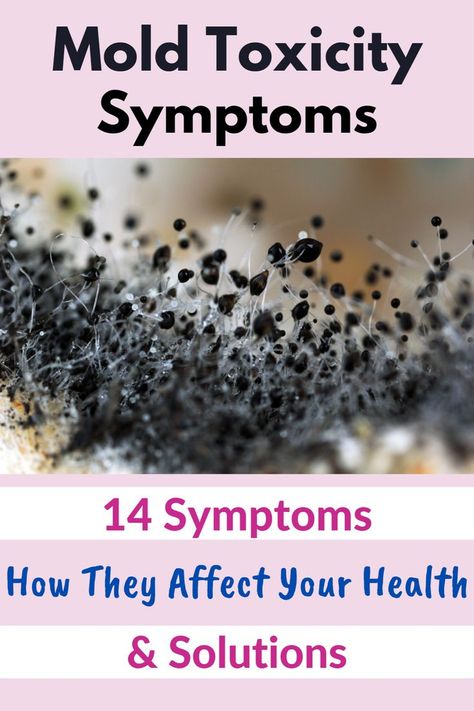 mold toxicity symptoms Mold Affects On Health, Mold Toxicity Symptoms, Mcas Symptoms, Toxic Mold Symptoms, Mold Symptoms, Mold Toxicity, Mold Exposure, Toxic Mold, Heal Yourself