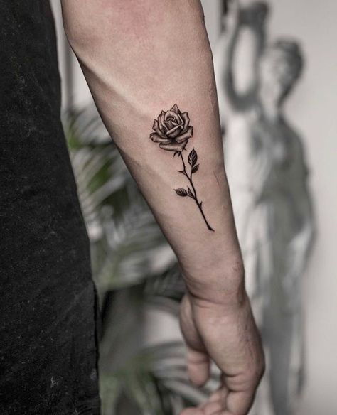 Rose Tattoo On Arm Men, Tattoo Roses Men, Guy Rose Tattoo, Rose Tattoo For Guys, Mens Rose Tattoos, Roses Tattoo Men, Small Rose Tattoo Men, Rose Forearm Tattoo Men, Men’s Rose Tattoo