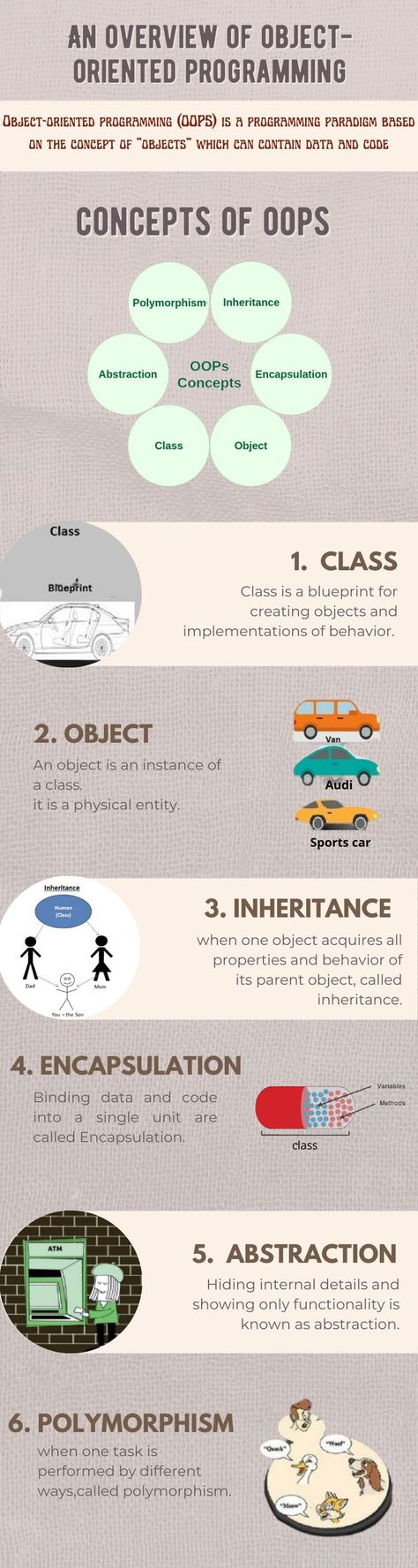 Object Oriented Programming C++, Java Basic Programs, Object Oriented Programming Java, Coding Basics, Learn Robotics, Computer Science Programming, Basic Computer Programming, Coding Lessons, Web Development Programming