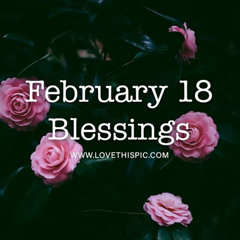 Pink Roses - February 18 Blessings quotes good morning february good morning quotes february 18 february 18th february 18 quotes february 18 quotes and sayings february 18 blessings Good Morning February, Pink Rose Pictures, Good Morning Sunday, Blessings Quotes, Quotes Good Morning, Blessed Quotes, Tumblr Image, Social Networking Sites, Facebook Image