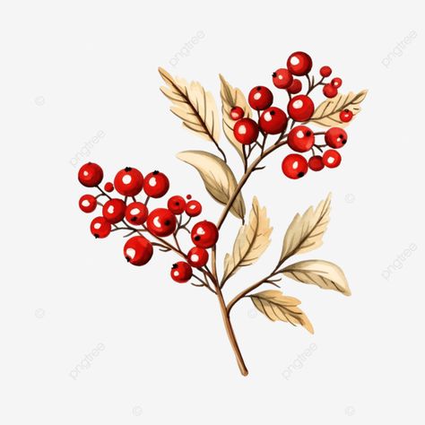 christmas branch isolated on white vector illustration festive plants for greeting designs pine le Christmas Plants Illustration, Pine Leaves, Berry Branch, Christmas Branches, Pine Leaf, Christmas Plants, Christmas Card Inspiration, Transparent Image, Plant Drawing