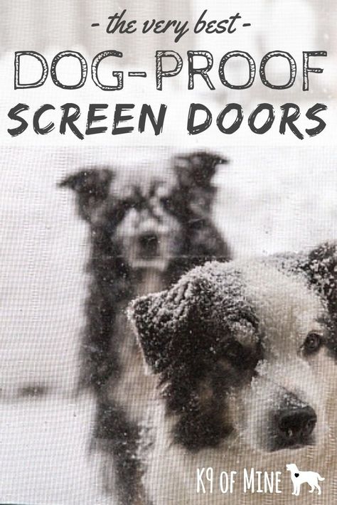 Dog-Proof Screen Door Options: 7 Ways To Save Your Screen. Does your dog tear through screen doors with ease? These dog-proof screen doors might finally let you keep your door open and let in a breeze without it getting torn to shreds! #dogs #dogcare #homecare #screens #screendoors #dogproof Screen Door Protector From Dogs, Door Protector From Dog, Dog Foster, Screen Door Protector, Rv Screen Door, Patio Screen Door, Door Mesh, Dog Skin Care, Dog Barrier