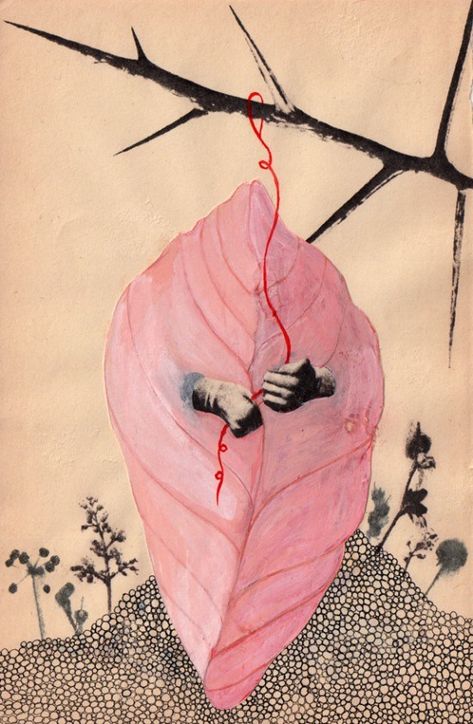 Ashley Blanton, Cocoon Illustration, Cocoon Drawing, Photo Transfer, Gcse Art, Ap Art, Book Page, Surreal Art, Collage Art