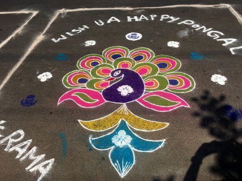 A Colourful road in Telengana! - Travel Twosome Rangoli Designs On Road, Road Rangoli Designs, Colourful Rangoli, Simple Rangoli Designs, Alpona Design, Rangoli Simple, Big Rangoli Designs, Beautiful Rangoli, Beautiful Rangoli Designs