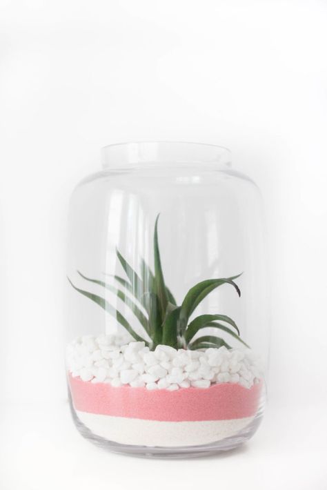 Valentine Terrarium, Diy Succulent Terrarium, Small Succulents, Dry Leaf, Succulent Terrarium, Faux Succulents, Sand Art, Glass Cleaner, Succulents Diy