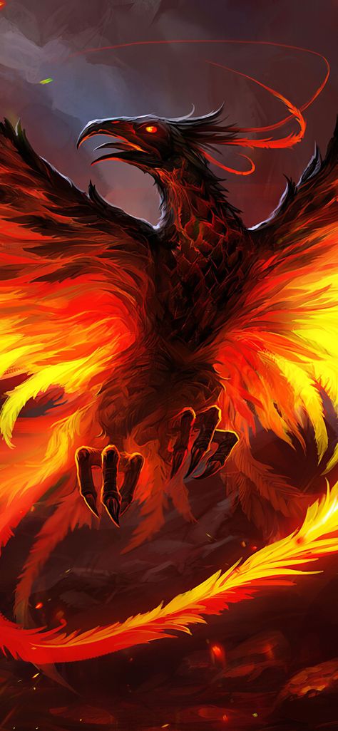 Phoenix Fantasy Art Mythical Creatures, Phenix Wallpapers, Fire Dragon Wallpaper, Phoenix Concept Art, Fenix Wallpaper, Real Phoenix Bird, Phoenix Animal, Tato Phoenix, Phoenix Wallpaper