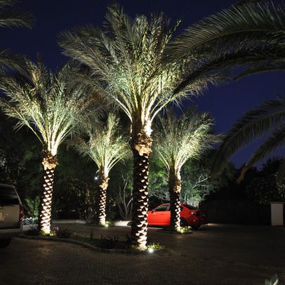 Palm tree uplighting Tree Uplighting, March Inspiration, Mediterranean Exterior Design, Palm Tree Lights, Palm Trees Landscaping, Palm Tree Decorations, Walkway Lighting, Garden Island, Landscape Lighting Design