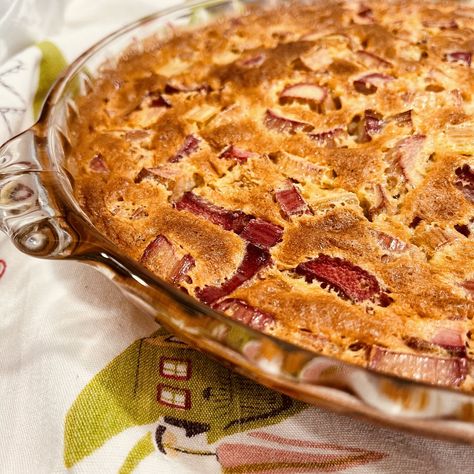 Crustless Rhubarb Custard Pie — Anne Dovel - Prairie Woman Arts Protein Custard, Rhubarb Custard Pie, Rhubarb Pudding, Rhubarb Custard Pies, Prairie Woman, Rhubarb Custard, Rhubarb Desserts, Rhubarb Pie, Rhubarb And Custard