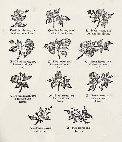 Appalachian Tattoo, Appalachia Tattoo, Imaginary Appalachia Tattoo, The Old Gods Of Appalachia, Vintage Appalachia, Lysimachia Atropurpurea 'beaujolais', Tattoos