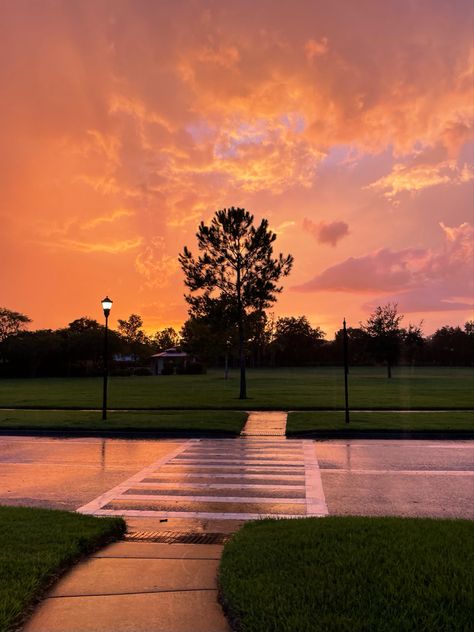 Rainy Sunset Aesthetic, Sunset School, Rainy Sunset, Sunny Rain, Rainy Wallpaper, Canada Pictures, Sunset Road, Sun View, I Love Rain