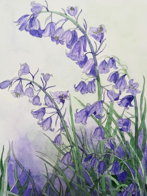 "Bluebells watercolour painting " Poster for Sale by esvb | Redbubble Bluebells Watercolour Paintings, Yellow Flowers Painting, Watercolour And Pencil, Whimsical Art Paintings, Bell Flowers, Blue Bell Flowers, Cosy Interior, Amy Brown, Woodland Art