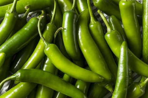 Serrano Peppers: Step Up From The Jalapeño - PepperScale Serrano Pepper Recipes, Serrano Peppers, Hot Pepper Seeds, Chile Serrano, How To Make Salsa, Capsicum Annuum, Serrano Pepper, Chile Pepper, Pepper Seeds