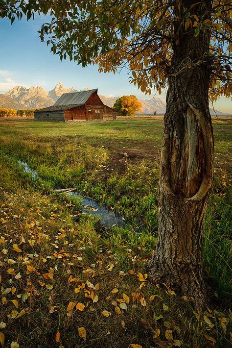 Majestic Places, Barn Pictures, Country Barns, Jackson Hole Wyoming, Fauvism, Outdoor Enthusiast, Old Barns, Old Barn, Jackson Hole