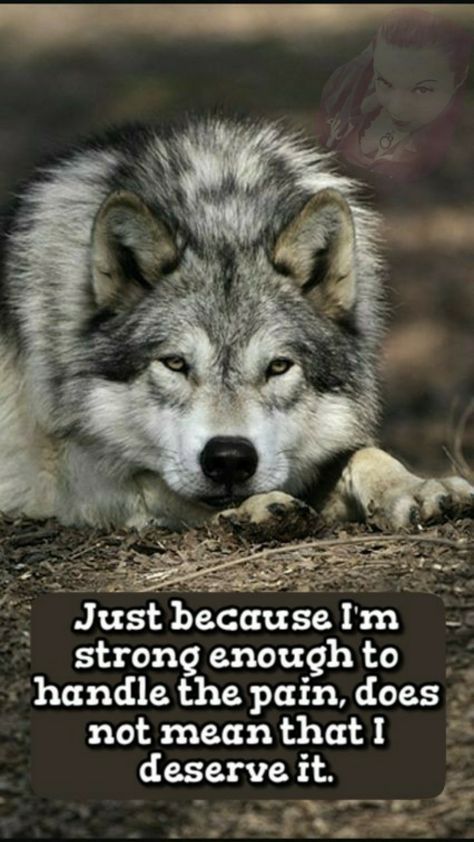 Wolf Pack Quotes, Alpha Female Quotes, Inspirational Animal Quotes, Lone Wolf Quotes, Lion Quotes, Wolf Quotes, Stoic Quotes, Man Up Quotes, Wolf Spirit Animal