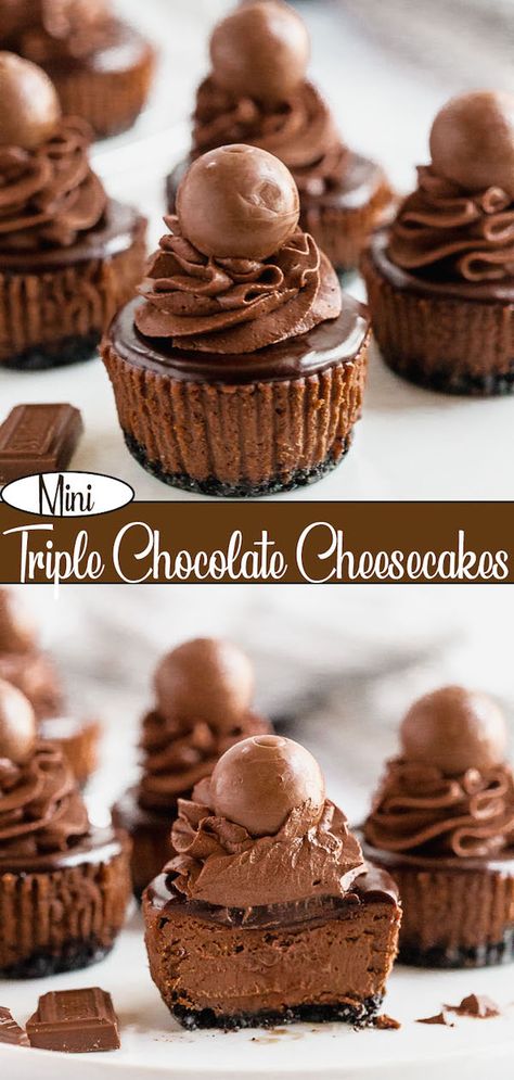 Chocolate Lovers Unite! These Mini Triple Chocolate Cheesecakes are an insanely decadent treat perfect for the ultimate chocolate lover! A rich and creamy chocolate cheesecake sits on top of an Oreo crust. It’s then topped with chocolate whipped cream, chocolate ganache and chocolate shavings! | queensleeappetit.com #chocolate #ganache #dessert #easy #sweet #chocolatecheesecake #cheesecake Dessert Smoothies, Whipped Cream Chocolate, Creamy Chocolate Cheesecake, Triple Chocolate Cheesecake, Mini Cheesecake Recipes, Chocolate Cheesecake Recipes, Chocolate Whipped Cream, Slow Cooker Desserts, Dessert Aux Fruits