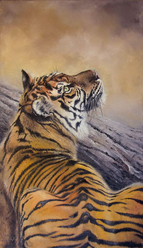 Tiger Looking Up, Tiger Pics, Big Cat Family, Leopard Painting, Wild Animals Photography, Save Wildlife, Cat Species, Tiger Painting, Wolf Pictures