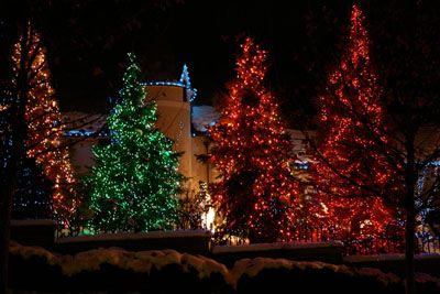 Christmas Lights On Pine Trees Outside, Outdoor Pine Tree Christmas Lights, Xmas Decorations Outdoor, Green Lights, Mini Lights, Red Christmas Tree, Christmas Outdoor, Outdoor Christmas Lights, Decorating With Christmas Lights