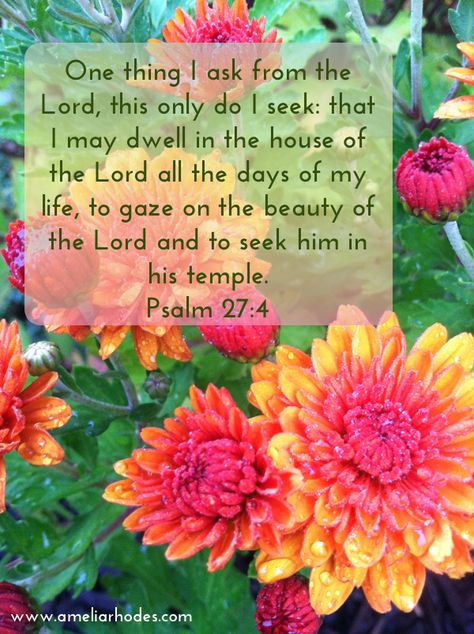 Psalm 27:4 Psalm 27 4, A Bible Verse, Psalm 27, Book Of Psalms, Biblical Quotes, Favorite Bible Verses, Faith Inspiration, Jesus Is Lord, Religious Quotes