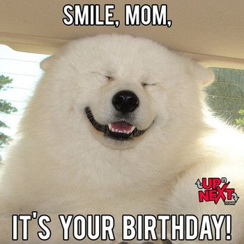 Haruka blog birthday wishes mom - Happy birthday images For Mother Funny Happy Birthday Mom Meme, Happy Birthday Mom Funny, Happy Birthday Mom Wishes, Happy Birthday Mom From Daughter, Mom Meme, Happy Birthday Mom Quotes, Happy Birthday Mommy, Happy Birthday Mama, Funny Wishes