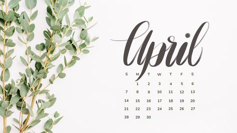 20 FREE APRIL 2024 DESKTOP CALENDAR BACKGROUNDS (EASY DOWNLOAD) April 2024 Calendar Wallpaper Desktop, May Wallpaper Desktop, April Calender, Desktop Calendar Design, Free Calendar Download, Desktop Wallpaper Calendar, Calendar Background, Calendar May, Desktop Wallpaper Organizer