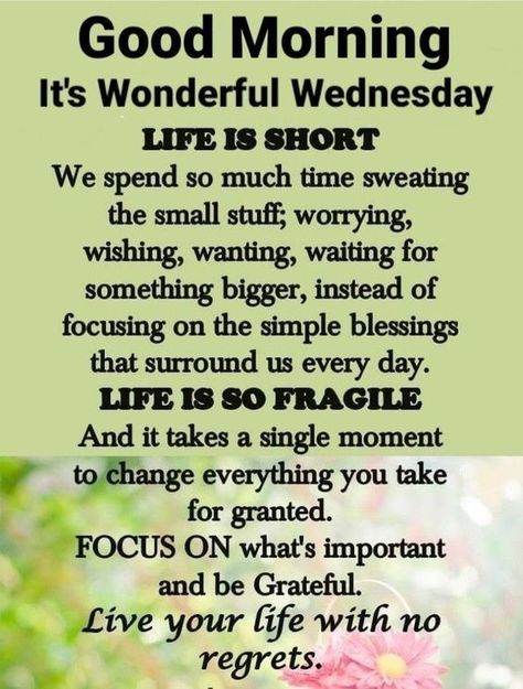 Wednesday Quotes Good Morning, Wednesday Good Morning, Wednesday Pictures, Wednesday Morning Greetings, Wednesday Morning Quotes, Weekly Blessings, Good Morning Prayer Quotes, Week Blessings, Wednesday Blessings