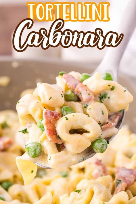 Tortellini Carbonara features all the flavors you love in a creamy carbonara but with bacon and cheese tortellini! Mermaid Diet, Ravioli Dishes, Tortellini Carbonara, Traditional Carbonara Recipe, Easy Tortellini, Cheese Tortellini Recipes, Creamy Carbonara, Chicken Carbonara, Pasta Party