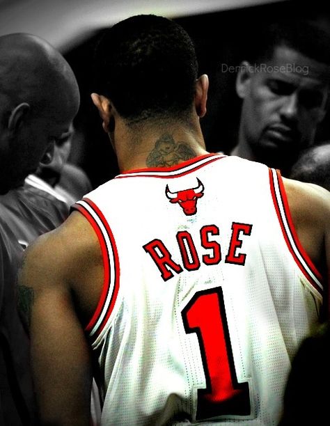 1⃣ D Rose Wallpaper Nba, Derrick Rose Wallpapers, Rose Bulls, Rose Nba, Bulls Wallpaper, Chicago Bulls Logo, King Lebron, Basketball Players Nba, Michael Jordan Basketball