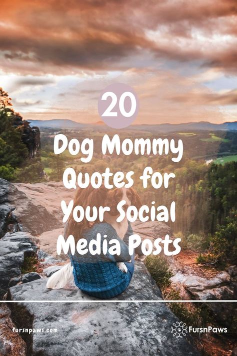 dog mommy quotes Thankful For My Dog Quotes, Dogs And Humans Quotes, Dog Saved Me Quotes, Dog Mom Sayings, Dog Mom Memes Humor, Inspirational Dog Quotes, Sassy Dog Quotes, Dog Healing Quotes, A Dogs Love Quote