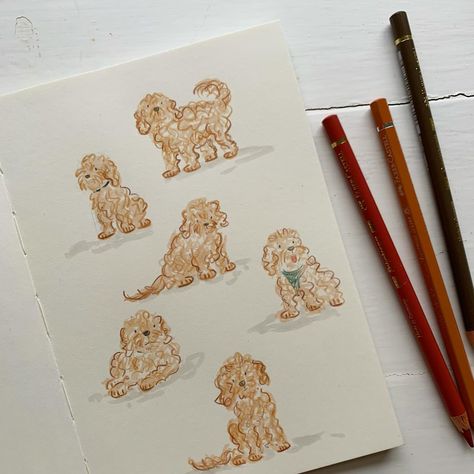 Doodle doodles 🐶 . #doodle #doodlelove #doodledog #doodlepuppy #doodledrawing #sketch #sketchbook #pencilsketch #dogdrawing #cockapoo #sararhys Cockapoo Drawing, Doodle Puppy, Doodle Dog, Dog Drawing, Doodle Drawings, Pencil Sketch, Art Inspo, Sketch Book, Doodles