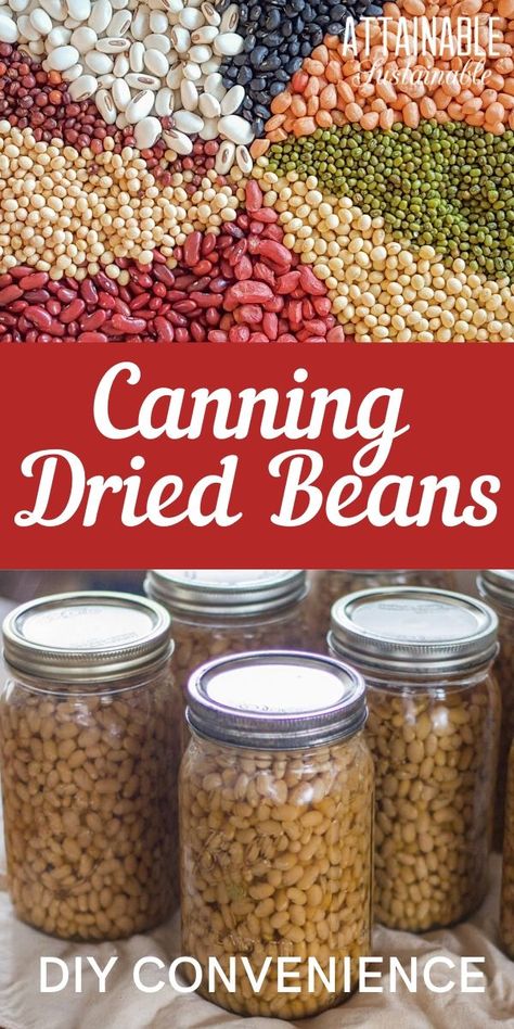 How To Can Dried Beans, Canning White Beans, How To Can Dry Beans, Canning Dry Beans Pressure Cooker, Pressure Canning Beans, Canning Dry Beans Without Soaking, Canning Dry Goods, Dry Pack Canning, Canning Pantry Storage