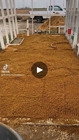 253K views · 3.2K reactions | Sand is quick to dry, quick to drain, scoopable, easy to clean, and has eliminated the mud that often accompanies chicken runs in the spring. It’s a game changer! #sand #chickens #coop #gamechanger #fyp #reels #foryoureel #farmfresheggs #backyardchickens | Chicken Schmidt Farms Chickens Coop, Chicken Tips, Homestead Animals, Chicken Coop Garden, Coop Ideas, Chicken Life, Nice Ideas, Chicken Lady, Farm Fresh Eggs