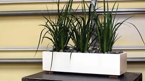 Rectangular Planters Indoor, Hanging Glass Planters, Rectangular Planter Box, Indoor Plants Styling, Rectangular Vase, Tire Planters, Planter Trellis, Rectangle Planters, Beautiful Front Doors