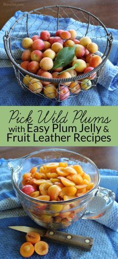 Wild Plum Jelly Recipe, Wild Plum Jelly, Fruit Leather Recipe, Jelly Fruit, Wild Plum, Plum Recipes, Plum Fruit, Fruit Leather, Jam And Jelly