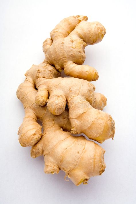 Ginger Vegetables, Ginger Image, Ginger Picture, Fruits And Vegetables Pictures, Growing Ginger, Vegetables Photography, Tattoo Plant, Vegetable Pictures, Ginger Plant