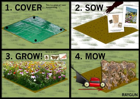 FROM 2020: Mike's Guide to Starting a Wildflower Patch (Even if You Ar – RAYGUN Corner Wildflower Garden, How To Make A Wildflower Meadow, Wildflower Garden Along Fence, Wildflower Hill Landscaping, Wild Flower Patch In Yard, Wildflower Meadow Front Yard, How To Make A Wildflower Garden, Wildflower Patch In Garden, Wildflower Mailbox Garden