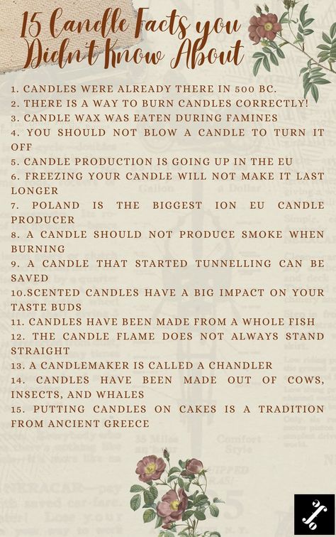 Facts About Candles, Candle Facts, 15 Candles, Candle Quotes, Candle Company, Candle Business, Candle Companies, Best Candles, Psychology Facts