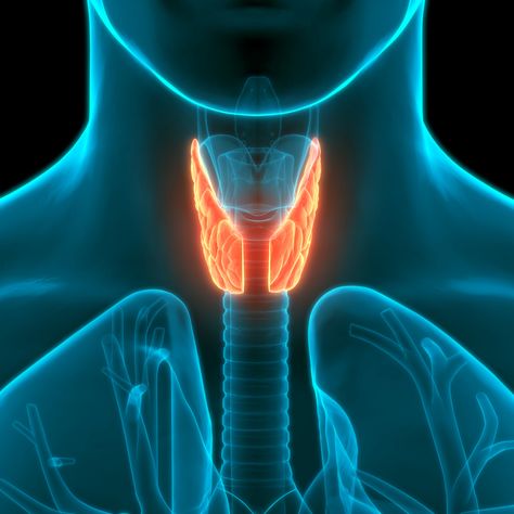 Spiritual Cause of Thyroid Problems Low Thyroid Remedies, Thyroid Remedies, Overactive Thyroid, Low Estrogen Symptoms, Low Thyroid, Too Much Estrogen, Thyroid Gland, Thyroid Health, Delhi Ncr