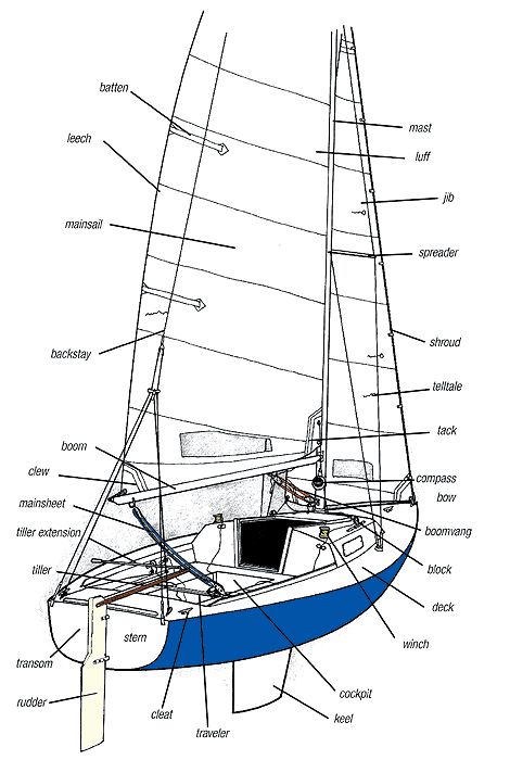 Sailing: Parts of a Sailboat Sailboat Parts, Sailing Terms, Sailing Basics, Boat Navigation, Sailing Lessons, Sailboat Interior, Boating Tips, Sparrowhawk, Sailboat Living