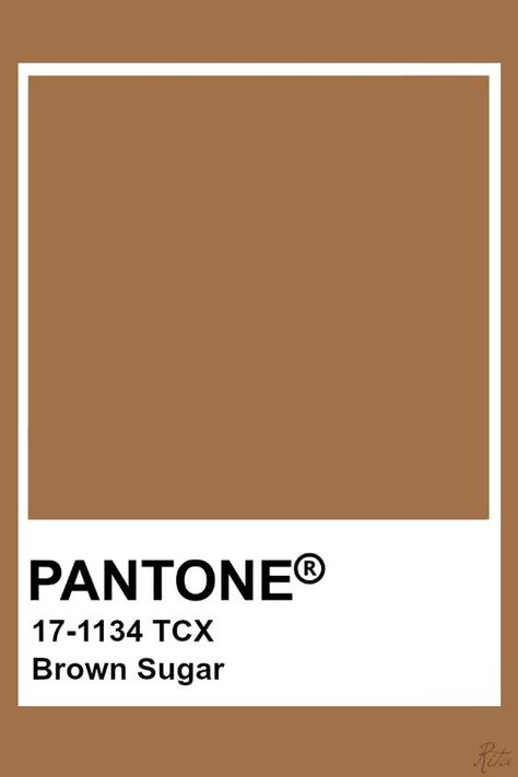 Brown Pantone Shades, Brown Colour Pantone, Pantone Colors Brown, Brown Pantone Palette, Pantone Brown Shades, Brown Pantone Color, Pantone Brown, Pantone Shades, Brown Pantone