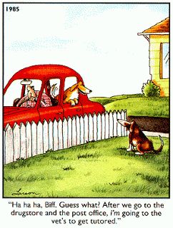 One of my favorite Far Side cartoons. Gary Larson Far Side, Gary Larson Cartoons, Far Side Cartoons, Far Side Comics, Dog Comics, Gary Larson, Far Side, Picture Albums, The Far Side