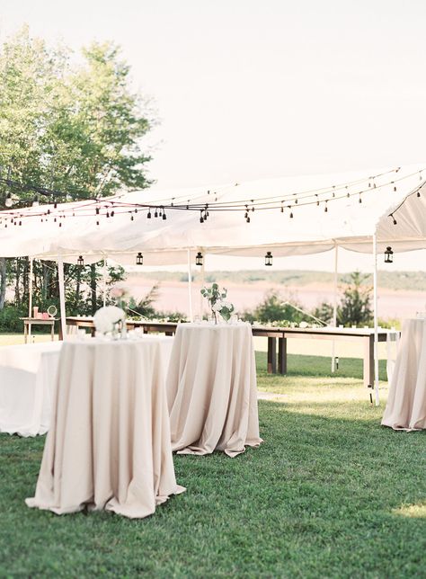 THE PERFECT BACKYARD WEDDING NEAR HALIFAX by Jacqueline Anne  Photography | Fine Art Wedding and Lifestyle photographer| Pouring my heart and soul in every image | based in Nova Scotia available worldwide. fine art film photography, minimal wedding, destination elopement photography, Wedding Venue, wedding location, elegant wedding venue, organic wedding, #weddingvenue #romanticweddingvenue #bridalvenue #elegantweddingvenue Modern Backyard Wedding Reception, Minimal Backyard Wedding, Classy Backyard Party, Minimal Outdoor Wedding, Minimal Garden Wedding, Elopement Party Backyard, Wedding Table Cloth Ideas, Minimal Wedding Reception, Classy Outdoor Wedding