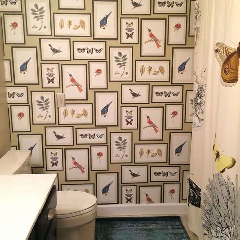 Almond Bathroom Fixtures, Glam Bathroom Ideas, Small Guest Bathroom Ideas, Glam Bathroom Decor, Bird Bathroom, Butterfly Bathroom, Glam Bathroom, Guest Bathroom Small, Guest Bathroom Decor