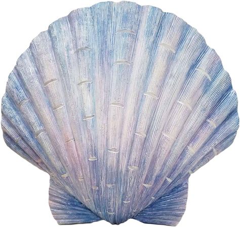 Captiva - Elegant Scallop Seashell Wall Sculpture Scallop Seashell, Turtle Wall Decor, Decorative Wall Sculpture, Themed Bedroom, Decorative Wall Plaques, Beach Wall Decor, Ocean Decor, Nautical Home, Color Story