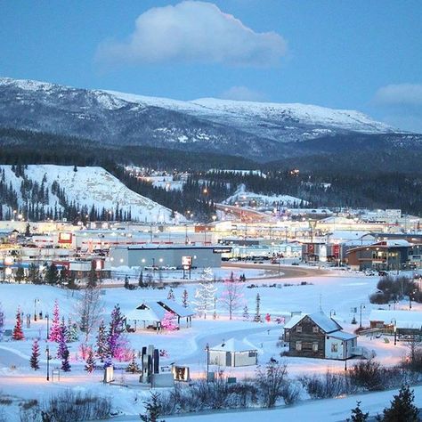 Image may contain: sky, snow, tree, mountain, outdoor and nature    #Regram via @BtbxdNoHZrw Yukon Territory Canada, Whitehorse Yukon, Yukon Canada, Canada Pictures, Emerald Lake, Winter Background, Explore Canada, Mountain Life, World Health Organization