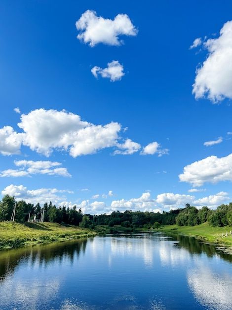 Beautiful natural scenery of river and b... | Premium Photo #Freepik #photo #riverside #river #forest-river #lake Beautiful Natural Scenery, River Forest, Forest Background, Nature Pics, Clear Blue Sky, Summer Landscape, Forest River, Natural Scenery, Green Trees