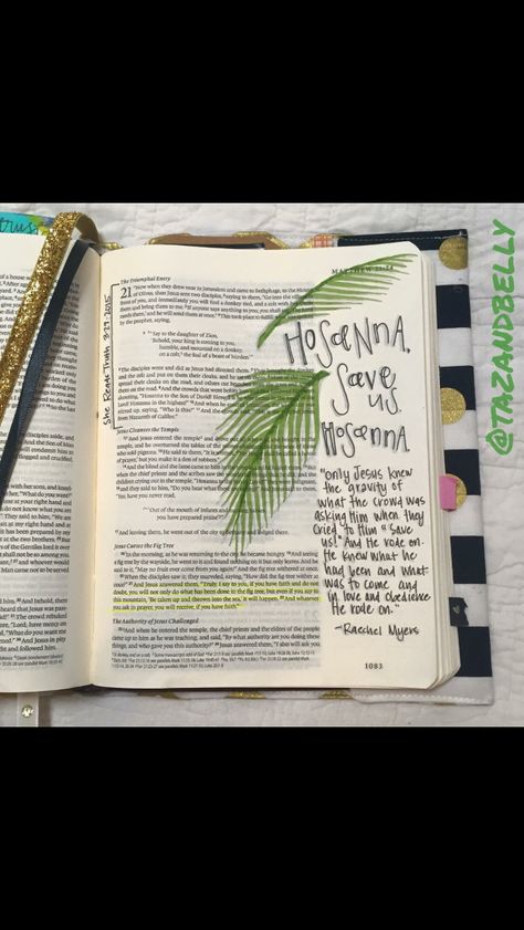 @TAZANDBELLY Matthew 12 Bible Journaling, Ideas For Illustration, Matthew 21 Bible Journaling, Matthew 7 Bible Journaling, Mathew Bible Journal, Bible Journal Ideas, Bible Journaling Matthew, Bible Matthew, Pretty Bible