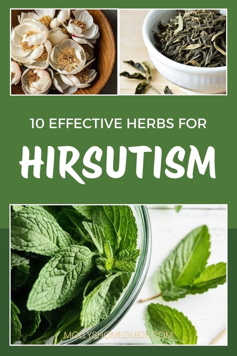 Discover the power of natural remedies for hirsutism and PCOS acne with these effective herbs. Explore Ayurvedic and homeopathic treatments that can help balance hormones and promote women's health. Incorporate spearmint, essential oils, and other best herbs to reduce symptoms like excessive hair growth. Take control of your well-being with these natural ways to stop hirsutism and lower prolactin levels. Embrace holistic alternatives that support your journey towards healthier skin and hormonal Unwanted Hair Growth, Balance Hormones, Reishi Mushroom, Healthier Skin, Healthy Liver, Fenugreek Seeds, Milk Thistle, Liver Health, Women's Health